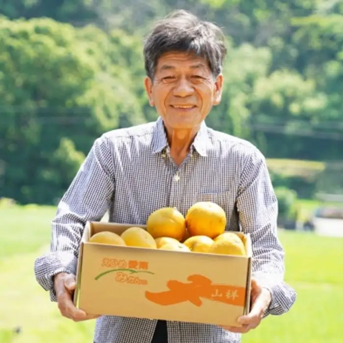 【数量限定】 贈答用 河内晩柑 大玉 6kg 2Lサイズ 以上 みかん 河内晩柑 みかんの山祥