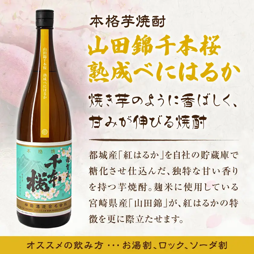 【柳田酒造】山田錦千本桜 熟成べにはるか(25度)1.8L×2本 ≪みやこんじょ特急便≫〔AC-0750_99〕_(都城市) 本格芋焼酎 熟成 お湯割 ロック ソーダ割 伝統製法 老舗 家飲み 宅飲み 紅はるか 定番焼酎