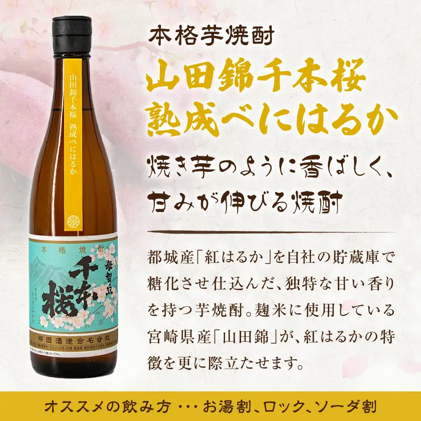 【柳田酒造】山田錦千本桜・母智丘千本桜(25度)720ml×2本 ≪みやこんじょ特急便≫〔AA-0751_99〕_(都城市) 本格芋焼酎 べにはるか 熟成 お湯割/ロック/ソーダ割 伝統製法/老舗 家飲み/宅飲み 定番焼酎