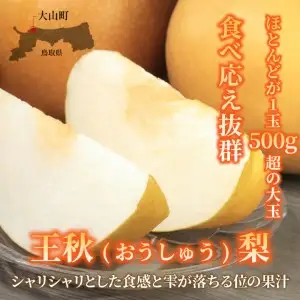 DS-22　わけあり梨（王秋） 5kg