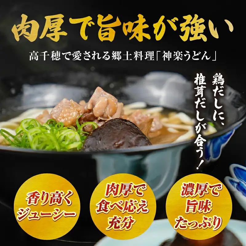 【3ヶ月定期便】 乾燥しいたけ 240g（40g×6袋）×3回 720g しいたけ 定期便 定期 定期的 国産 宮崎県産 原木 栽培 乾燥 干し椎茸 原木椎茸 国産しいたけ 小分け 袋 小袋 普段使い 使い勝手 使い切り 肉厚 旨み 香り グルメ お取り寄せ 宮崎県 高千穂町 _Tk004-t042
