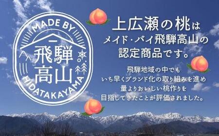 【先行受付】2026年8月発送 桃 飛騨もも 2kg 5～6玉入り | もも モモ 飛騨高山 糖度 甘い 2キロ 果物 白鳳 昭和白桃 など 夏 くだもの お取り寄せ 上広瀬果樹組合 GJ001