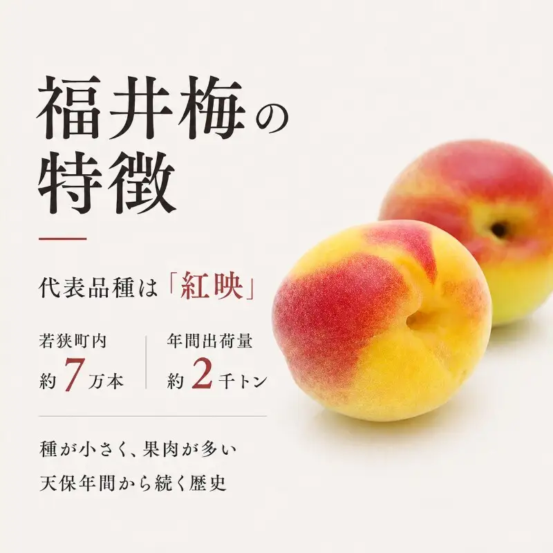 しそ漬福梅ぼし約650g[高島屋選定品］ 梅干し 