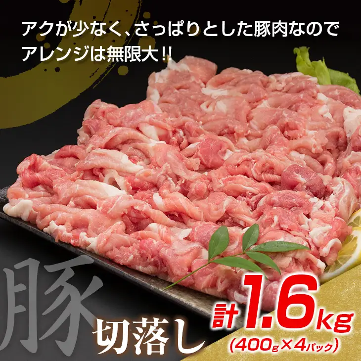 数量限定 豚肉 切り落とし 鶏肉 モモ ムネ セット 合計3.1kg_BDV2-26