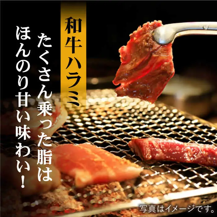 【味付】【大容量】ホルモン専門店の豪華！焼き肉5種セット計2kg（和牛ハラミ800g ／ 豚ハラミ・丸腸・小腸・シマ腸 各300g）【三田川ホルモン専門店】 [FAC016]