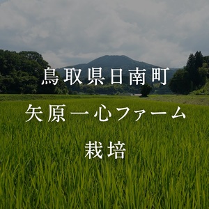 令和7年産 矢原一心ファーム 特別栽培米 ミルキークイーン 10kg 米 お米 おこめ 鳥取県日南町 特別栽培