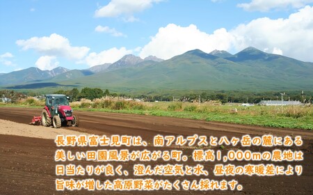 【先行予約】にんじんジュース 200ml 10本 にんじんのとりこ 甘くて 飲みやすい ストレート果汁 八ヶ岳わくわくファーム ※2026年8月上旬より順次発送