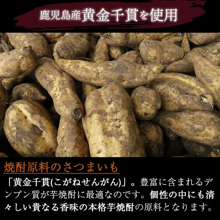 i494 鹿児島本格芋焼酎！天守の雫(900ml×12本・アルコール度数25度)紫尾山の水と黄金千貫で仕込んだ焼酎！ 芋焼酎 焼酎 お酒 アルコール 本格焼酎  紫尾山 黄金千貫 家飲み 宅飲み 紫尾山 黄金千貫【岩田産業】