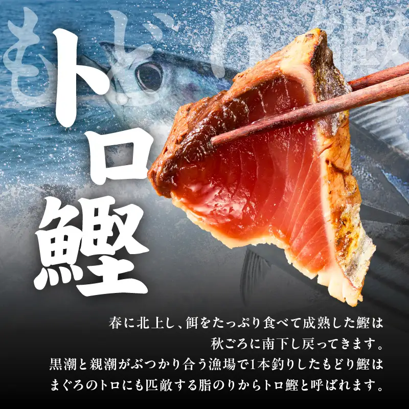 トロ鰹たたき 1.2kg 備長炭仕上げ