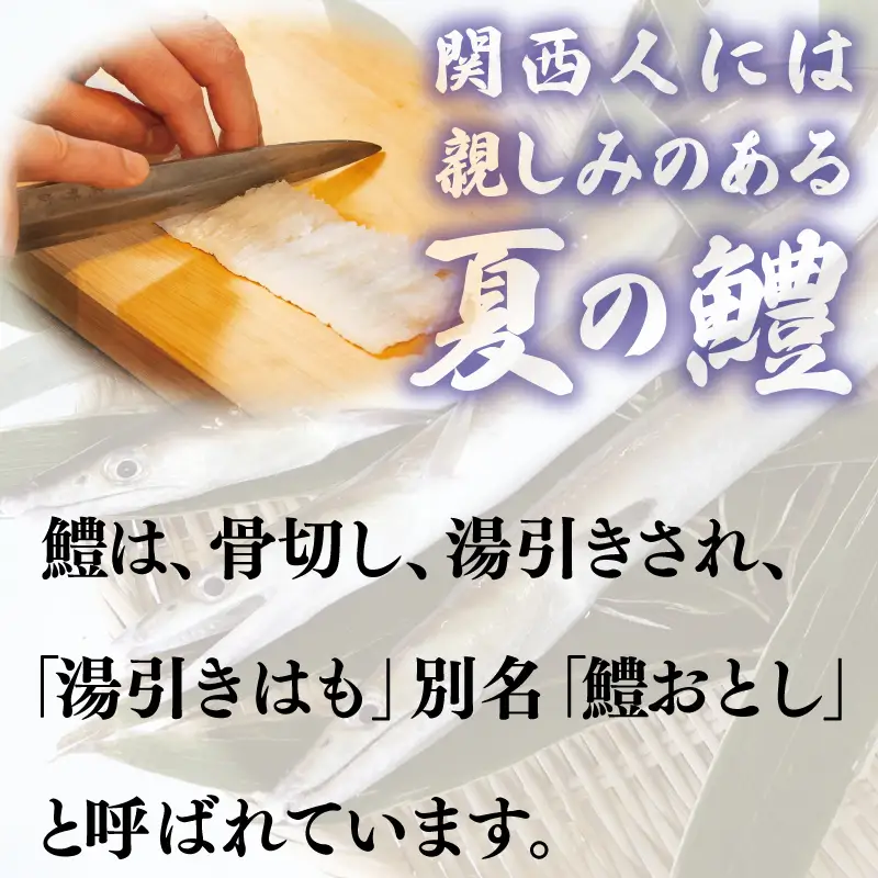 鱧おとし 350g【からし酢みそ 梅肉付き】