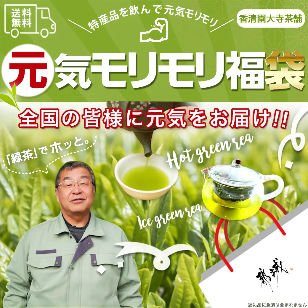 【元気モリモリ福袋】気分リフレッシュ!特上煎茶4本セット〔AA-48-002〕_(都城市) お茶の産地 宮崎県産産茶 最高級品 ホットでも冷茶でも 日本茶