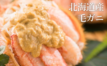 特大サイズ！冷凍毛がに約800g×1尾【斉藤水産】AM147