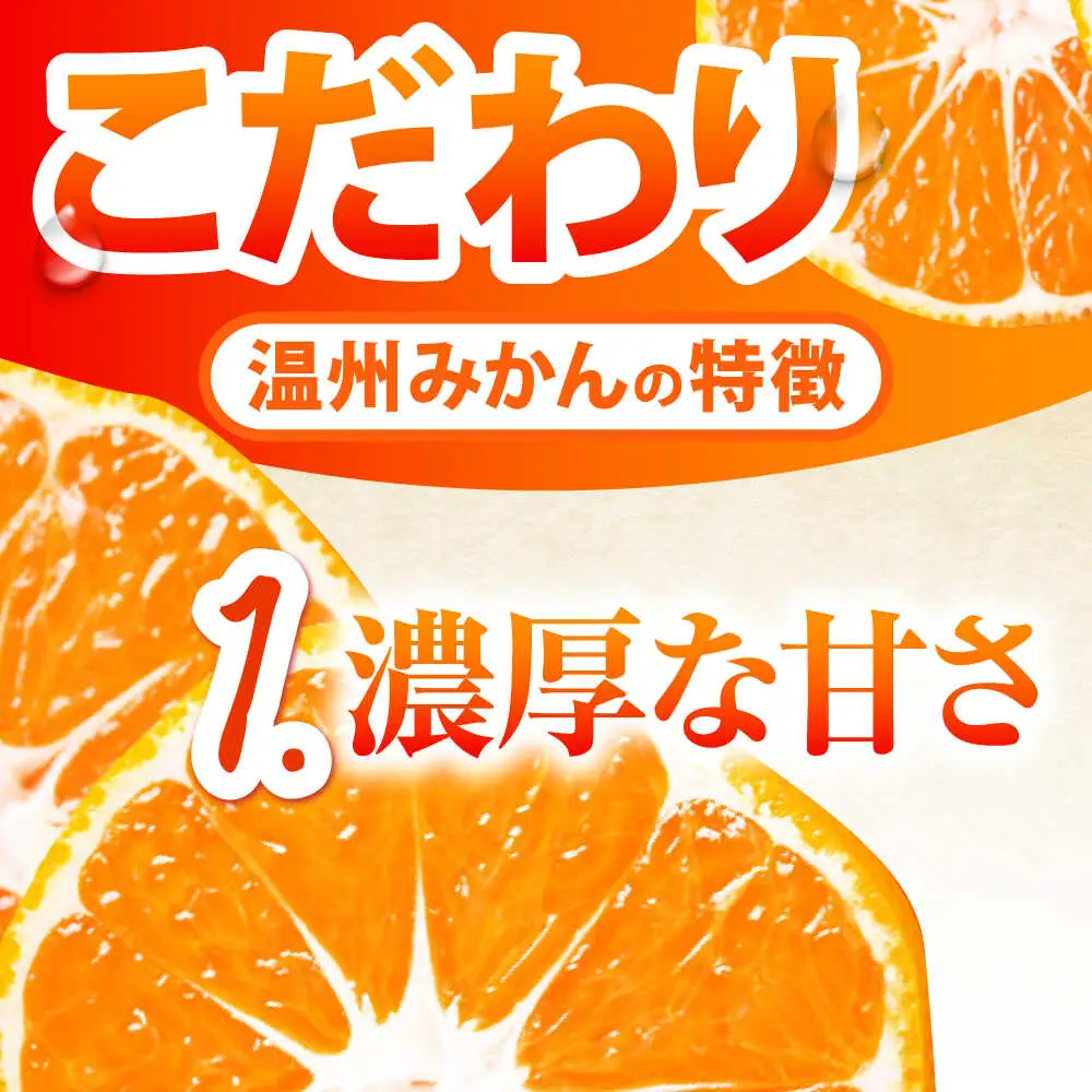 【2026年10月下旬-発送】温州みかん 5kg 南島原市 [SCQ001] みかん