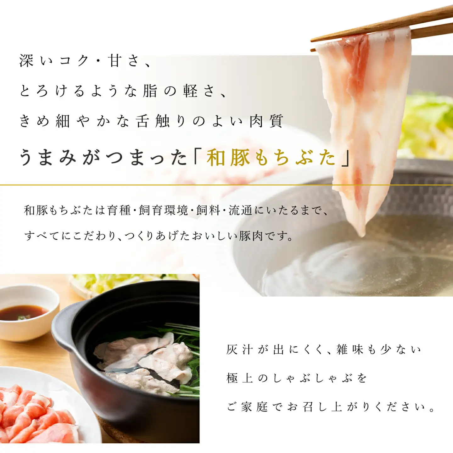 【ふるさと納税限定】【定期便3ヵ月】豚肉 豚しゃぶセット 合計1.2kg 冷凍 豚肉