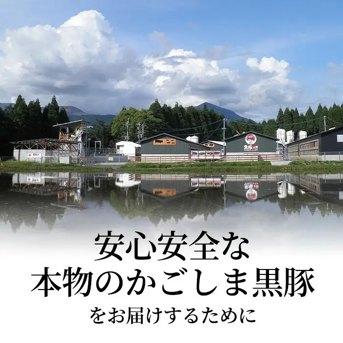 A-043 霧島高原純粋黒豚加工品セット(3種)【霧島高原ロイヤルポーク】霧島市 肉 豚肉 黒豚 餃子 味噌ステーキ ステーキ 加工品 総菜