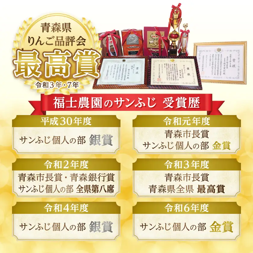 【りんご品評会最高賞】大玉 約5kg 糖度14度以上保証 訳あり 家庭用 りんご 「サンふじ」_果物・フルーツ りんご  リンゴ 林檎_【配送不可地域：離島】【1111237】
