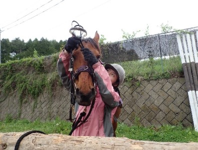 乗馬 体験 まきば軽井沢 4級乗馬ライセンス取得コース 体験チケット 