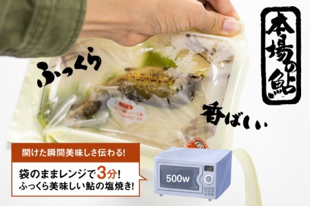 鮎の塩焼き 4尾 鮎 飛騨市 [CA008]