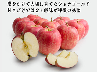 りんご ジョナゴールド 青森県産 ヒバリノ園 りんご【約5kg 12〜16玉】