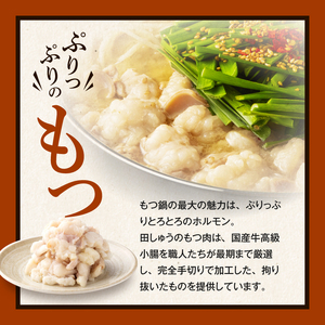 田しゅうもつ鍋セット味噌味2～3人前_田しゅう もつ鍋 セット 味噌味 醤油味 2～3人前 博多 郷土料理 こだわり 国産 牛 もつ 職人 厳選 手切り にんにく 出汁 旨味 リピート ちゃんぽん麺 味噌 醤油 加工品 食べ物 グルメ お取り寄せ お取り寄せグルメ 福岡県 久留米市 送料無料 〔Cn110〕
