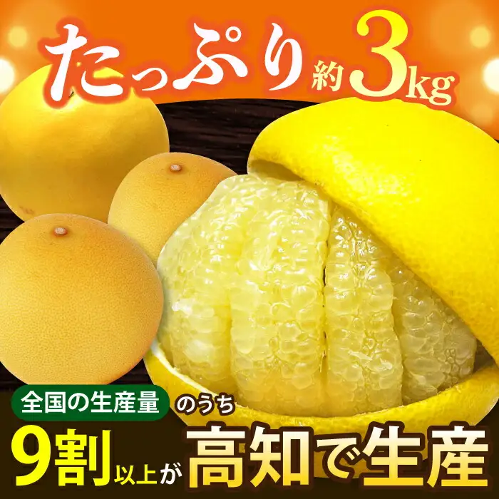【先行予約】 南国高知温室 土佐文旦 約3kg 7玉〈2026年11月中旬?2027年2月中旬頃発送〉/ 文旦 ぶんたん 3kg 3キロ 温室 果物 フルーツ デザート 柑橘 南国 土佐 高知 名物 名産  【フルーツショップオザキ】[ATAH011]