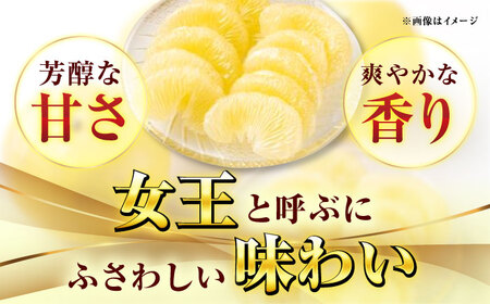 高知県産 水晶文旦 約3kg 6玉入 贈答用〈2026年9月下旬-11月上旬頃発送〉 /  高知 水晶 文旦 柑橘 果物 フルーツ くだもの 贈答 お中元 お歳暮 ギフト ぶんたん 【株式会社　四国健商】[ATAF032]