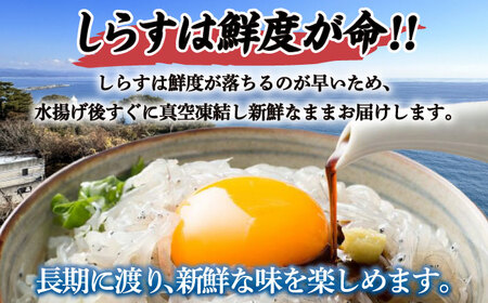 高知産「生シラス」イワシ稚魚約100g×5パック入り (タレ付) [ATBX003]
