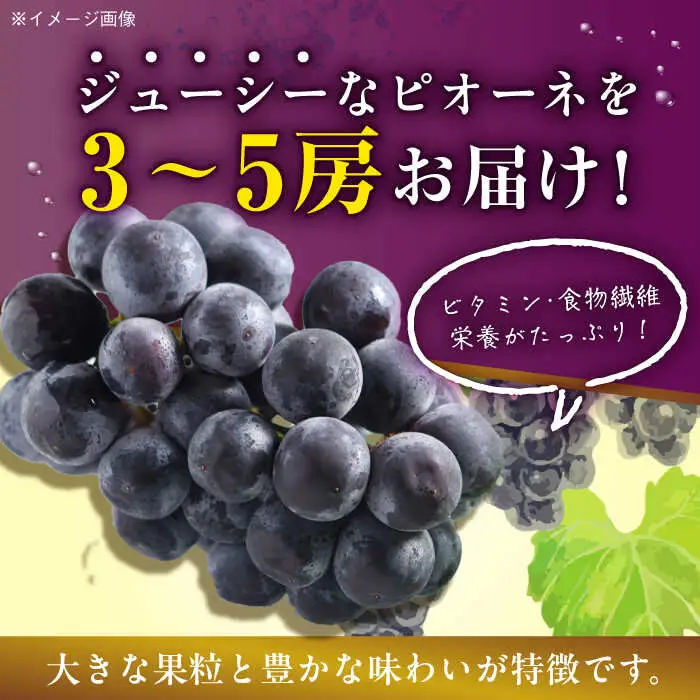 ぶどう 種無しピオーネ2kg ピオーネ [AGBN014]