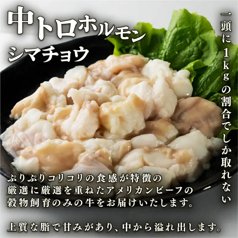 中トロホルモン 西京味噌焼き 600g (100g×6)  ホルモン