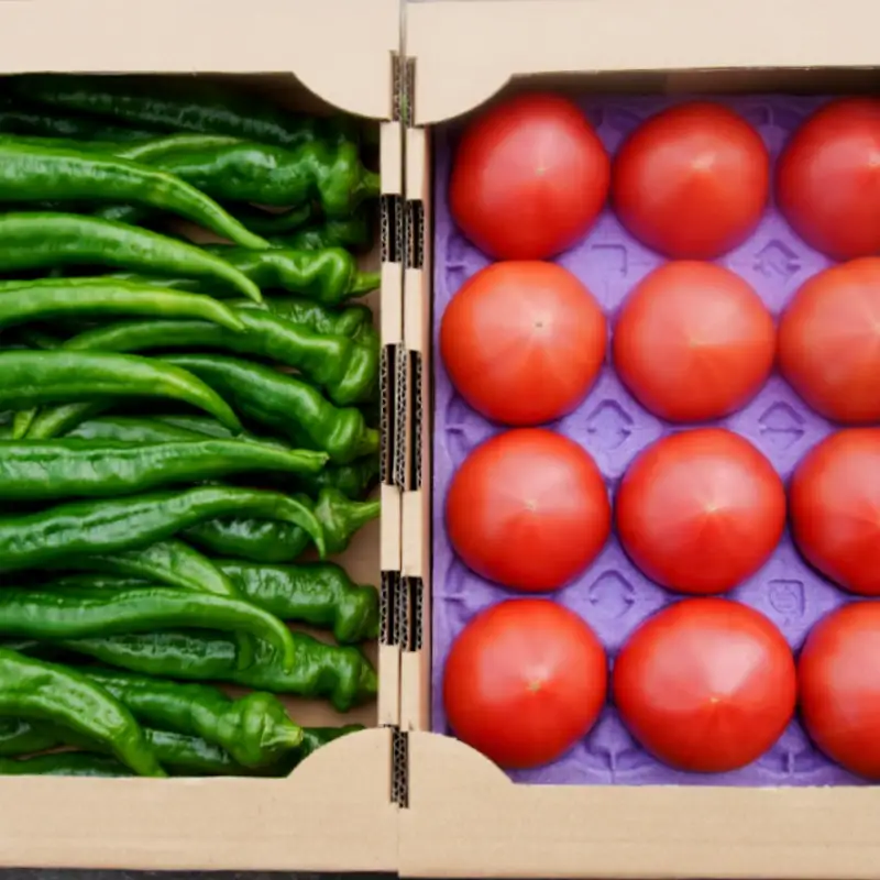夏野菜セット 辛くない 万願寺とうがらし1kg＋トマト2kg （トマト 万願寺とうがらし）