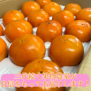 柿 訳あり ご家庭用 4kg 富有柿 | 23M