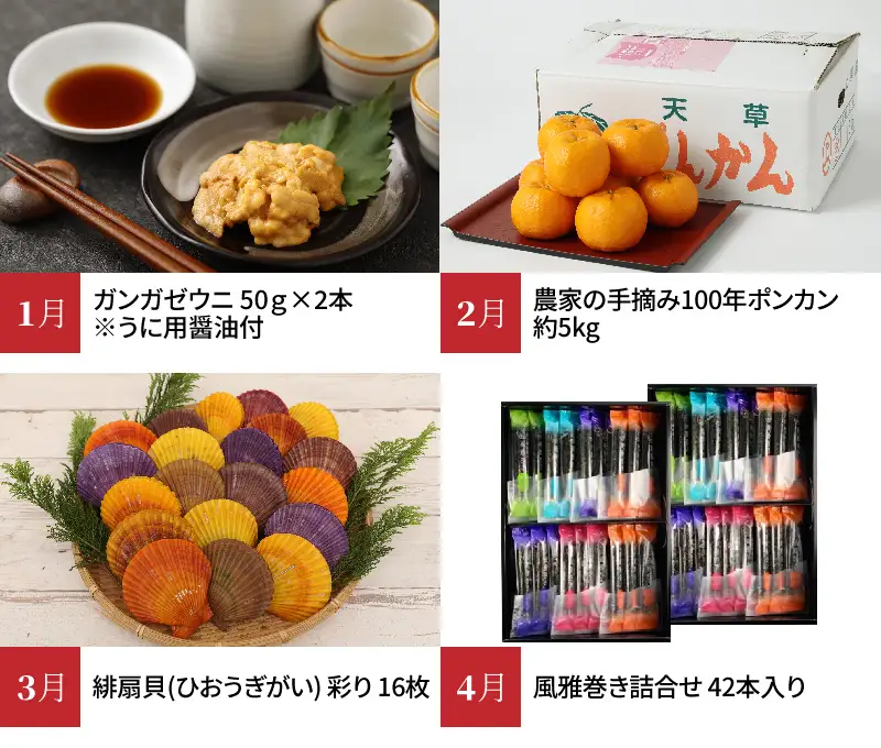 S999-T04_【定期便12回】天草市堪能12ヵ月定期便