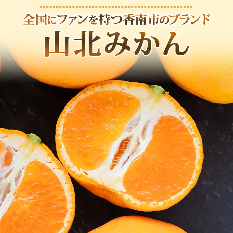 【6〜8月発送】山北温室みかん 1.2kg ミカン蜜柑 ku-0050