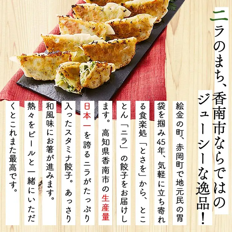 ニラのまち香南市 香南ニラ餃子28個【ぎょうざ ぎょうざ ぎょうざ ぎょうざ ぎょうざ ぎょうざ】 tw-0006