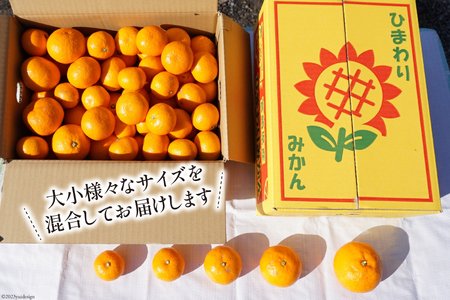 【期間限定発送】 みかん 訳あり 日向ひまわり 石地みかん 2S ～ L サイズ 5kg