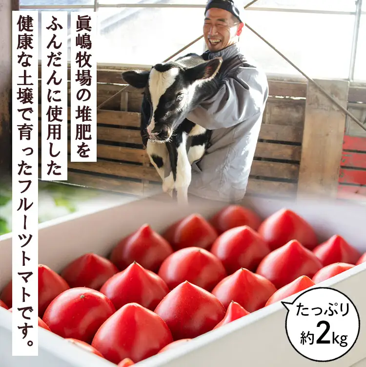 先行受付【野菜ソムリエが育てた】うしの恵 フルーツトマト 約2kg 野菜 香南市 完熟フルーツトマト mj-0028