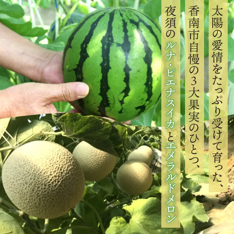 フルーツセット 計2玉 フルーツ エメラルドメロン ルナ・ピエナスイカ yu-0071