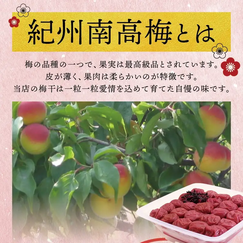 梅干し しそ風味梅干し 1.4kg【ご家庭用】【inm200C】