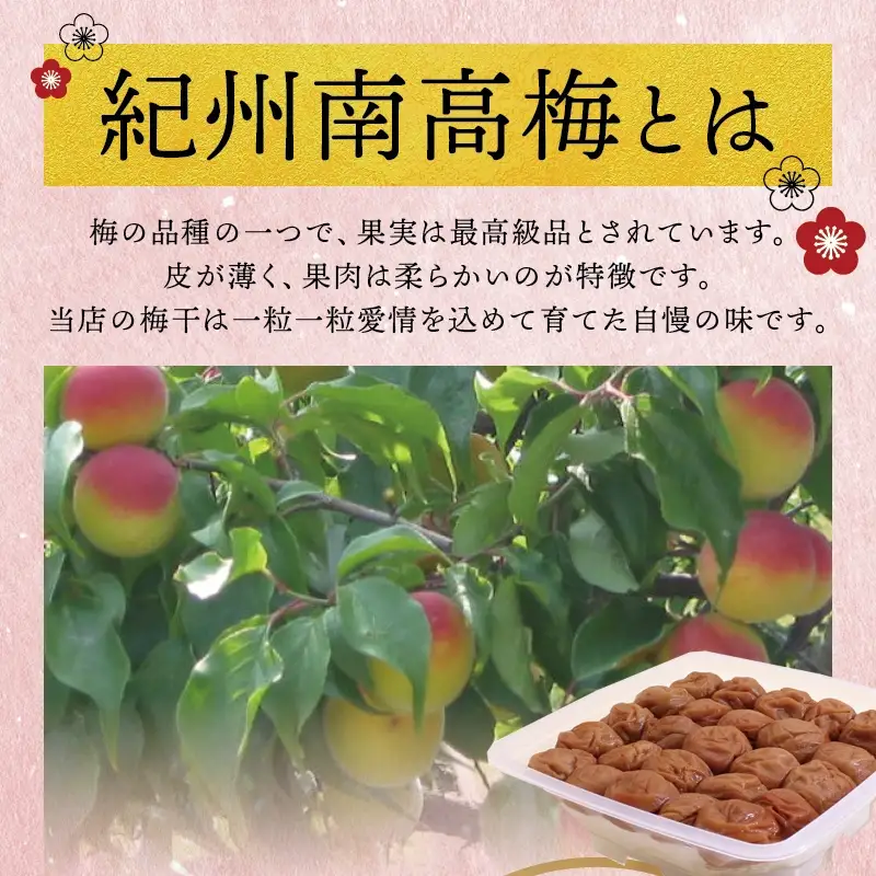 最高級紀州南高梅・大粒うす味梅干し 1.4kg【ご家庭用】【inm300C】