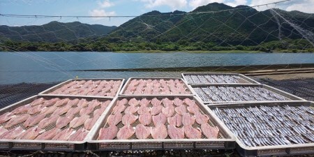 岡本水産加工のちりめんじゃこ2種と干物2種「特盛」セット　【R00282】