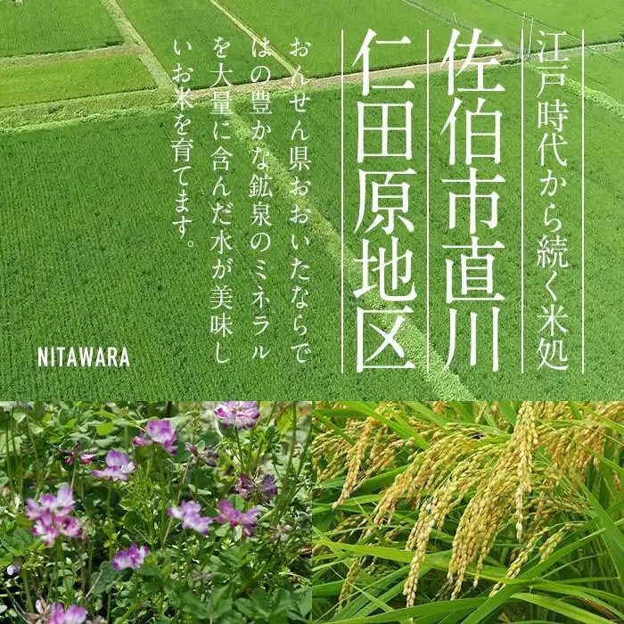 ＜先行予約受付中！2026年11月より発送開始予定＞【令和8年産】減農薬特別栽培米 はなご縁 (計10kg・5kg×2袋) 米 ひのひかり ヒノヒカリ 精米 白米 大分県産 数量限定 大分県 佐伯市【HD171】【さいき本舗 城下堂】