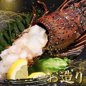 天然伊勢海老１kg（サイズ・匹数おまかせ）【R00625】