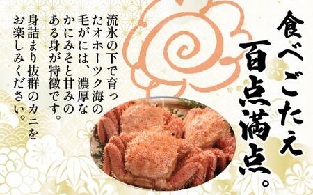 【網走産】鮮度抜群！三特浜茹で毛がに 約670g×1尾 【 ふるさと納税 人気 おすすめ ランキング 毛がに 毛ガニ 茹で毛がに 網走産 濃厚 かに味噌 北海道 網走市 送料無料 】 ABW004