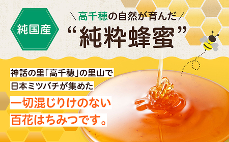 日本みつばち　 高千穂の純粋蜂蜜 300g×2本 セット 国産はちみつ 瓶 蜂蜜 調味料 百花蜂蜜 天然 純粋蜂蜜 自然蜜 セット 贈答 贈り物 ギフト プレゼント お祝い お取り寄せグルメ グルメ 高千穂産 国産 九州 _Tk006-001