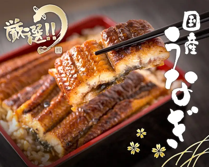 うなぎ 国産鰻蒲焼き ３尾【uot303A-3】