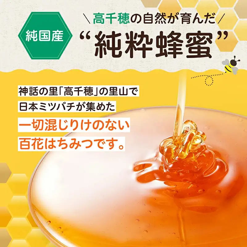【6ヶ月定期便】日本みつばち 高千穂の純粋蜂蜜 600g×2本 セット 瓶 蜂蜜 はちみつ ハチミツ 百花蜜 自然蜜100% 調味料 定期 はちみつセット 瓶 贈答 贈り物 ギフト プレゼント おすそ分け 普段使い セット 高千穂産 国産 九州 _Tk006-t021