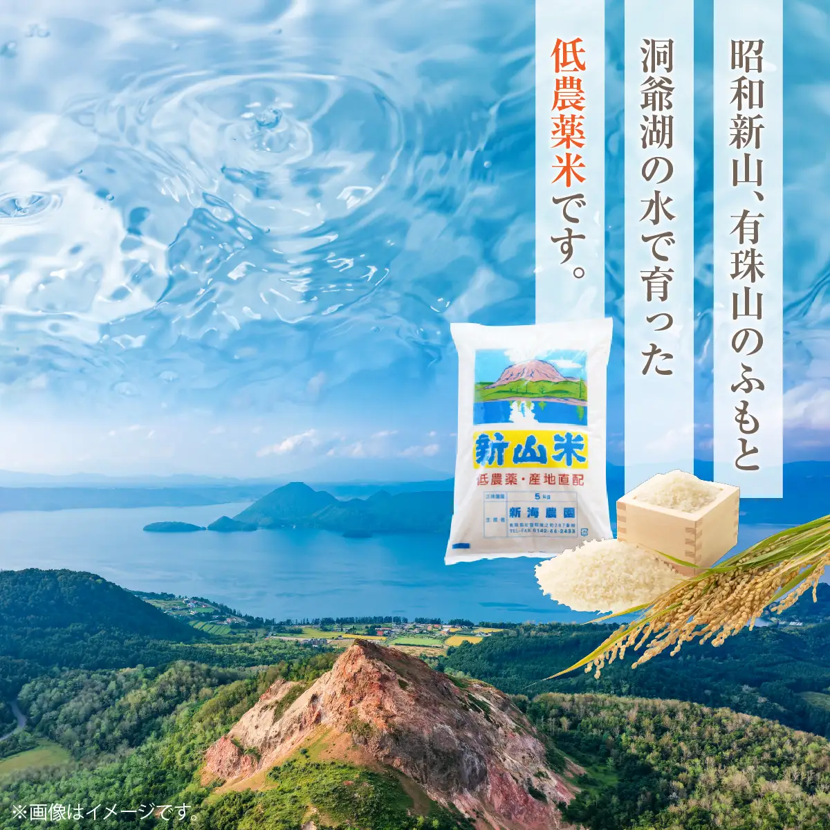 【令和8年産 新米】ななつぼし 新山米 5kg×2袋 10kg 隔月2回お届け SBTC001