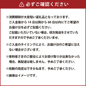 【指定日必須】米沢三元豚 ローススライス 1.2kg (600g×2P) 豚肉 ブランド肉 お肉