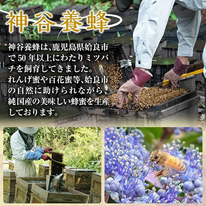 a686 国産！純粋はちみつ(600g)【神谷養蜂】