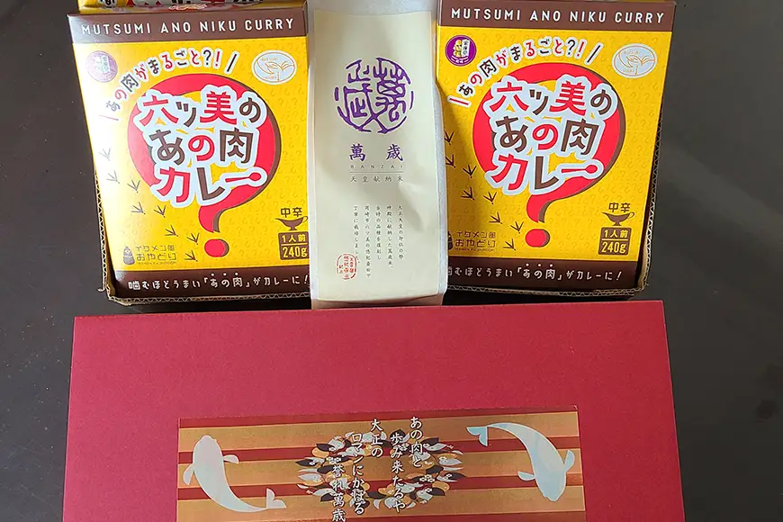 レトルト カレー 国産 骨付きモモ 1本 六ツ美のあの肉カレー 中辛 4個 セット